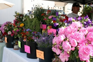 Fresh flowers at the Farmers Market